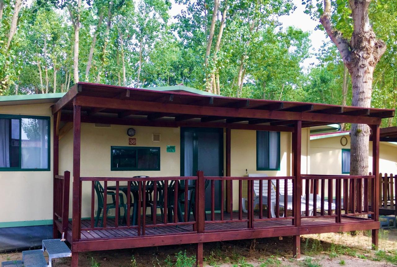 Camping Village Punta Navaccia 투오로술트라시메노 외부 사진